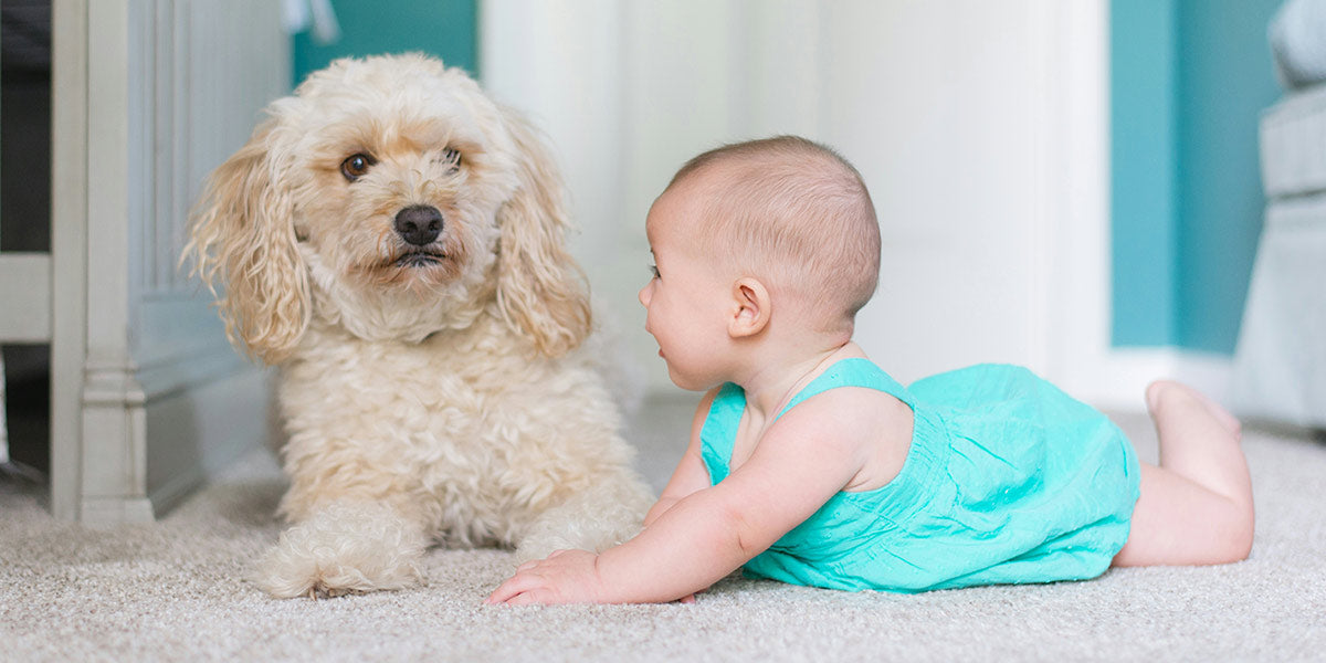 baby and vacuum