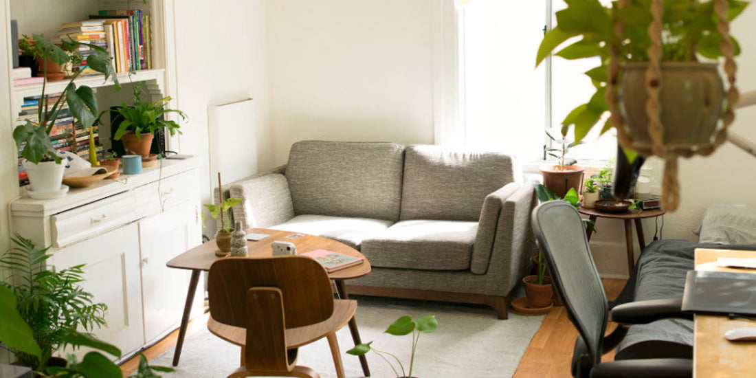 Summer Home Cleaning Guide: Cordless Vacuum Cleaner