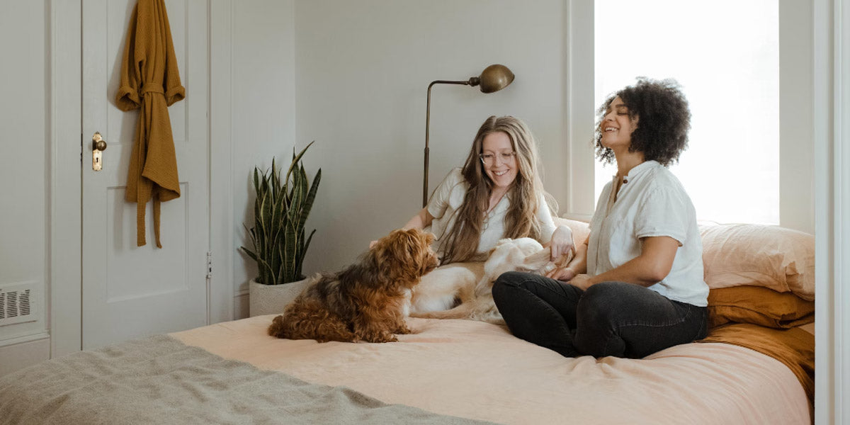 How Cordless Vacuums Improve Your Family’s Health?