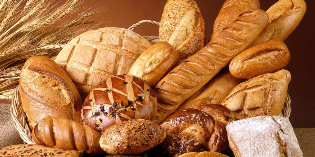 The Art of Eating Hard Bread: Why a Toaster Is Your Best Ally