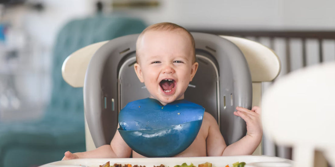 Baby Food Recipes Made with a Handheld Blender