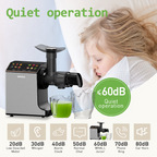 Whall Slow Masticating Juice - Cold Press Juicer Machines with Touchscreen，Reverse Function, Soft & Hard Produce, Quiet Motor